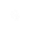 TROPIC CREATIONS